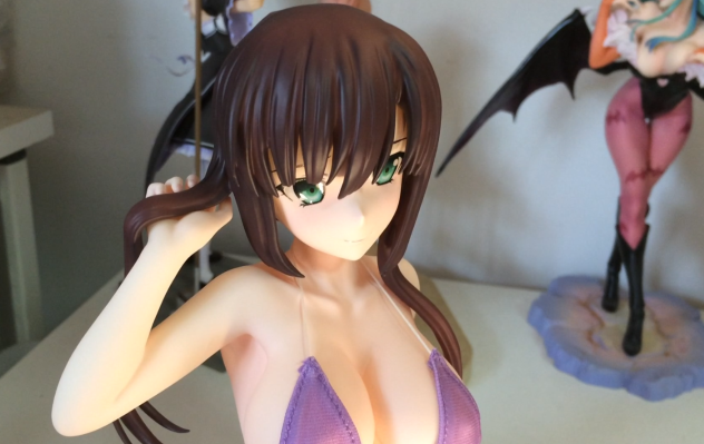 噬血狂袭 煌坂纱矢华 布泳装ver.