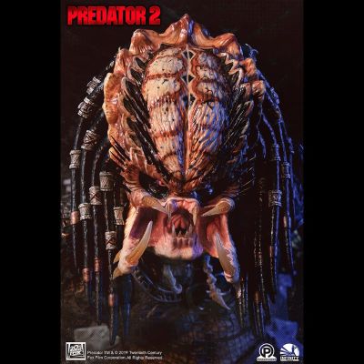 铁血战士2 城市猎人