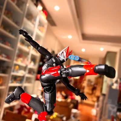 S.H.Figuarts  假面骑士极狐 登录形态
