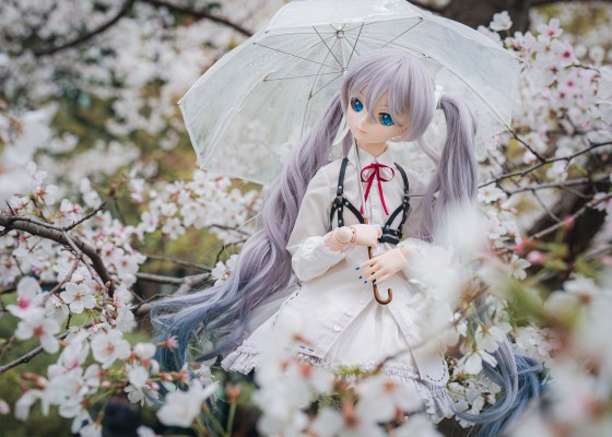 Dollfie Dream DD VOCALOID 樱未来
