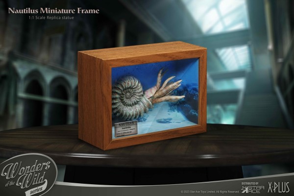 史前动物系列 鹦鹉螺