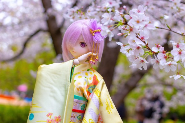 Dollfie Dream DD VOCALOID 樱未来