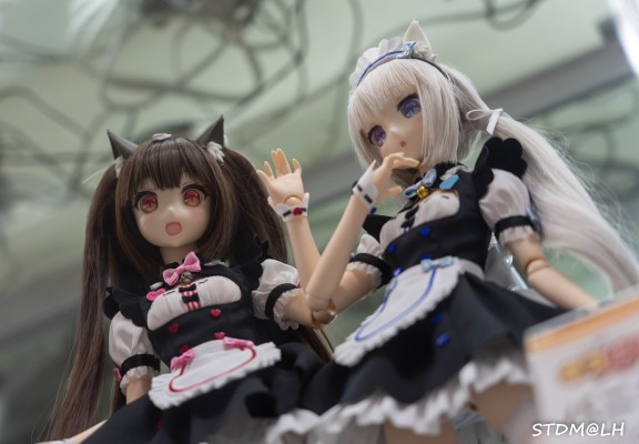 间谍过家家 约尔 与 阿尼亚