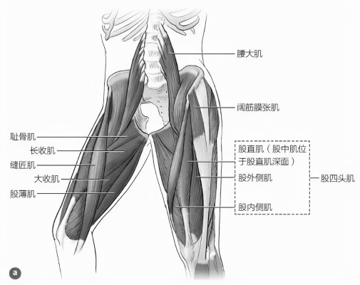 神曲的魔导书 美夜
