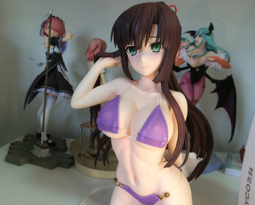 噬血狂袭 煌坂纱矢华 布泳装ver.