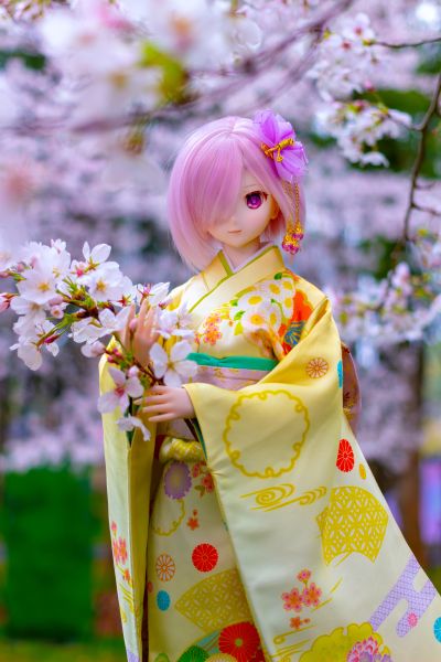 Dollfie Dream DD VOCALOID 樱未来