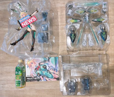 轨道少女 ENTRY NO.01 菲欧娜·满月