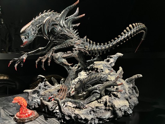 PMDHAL-05 异形大战铁血战士: 第三次世界大战 獠牙外星人 Bonus版