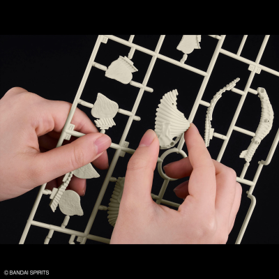 恐龙拼装模型 剑龙