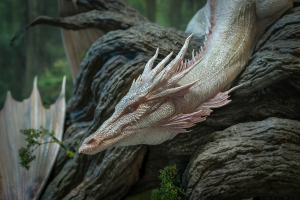 艺术家系列 朝圣