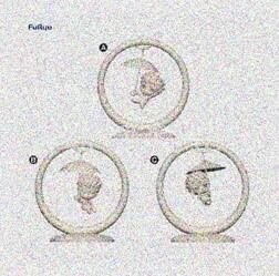 摇摇秋千 咒术回战