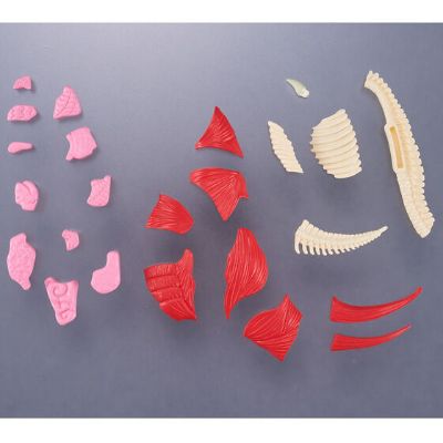 解体拼图 FANTASY  宇宙英雄奥特曼 哥莫拉