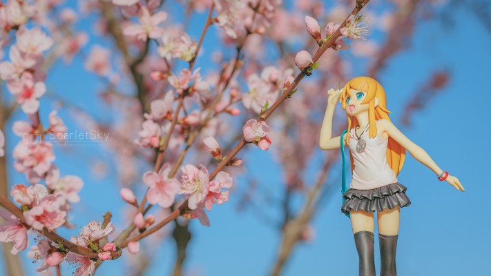 我的妹妹哪有这么可爱 高坂桐乃 私服