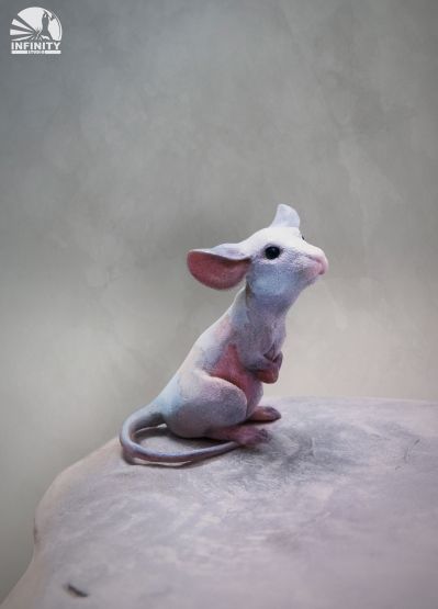 艺术家系列 不期