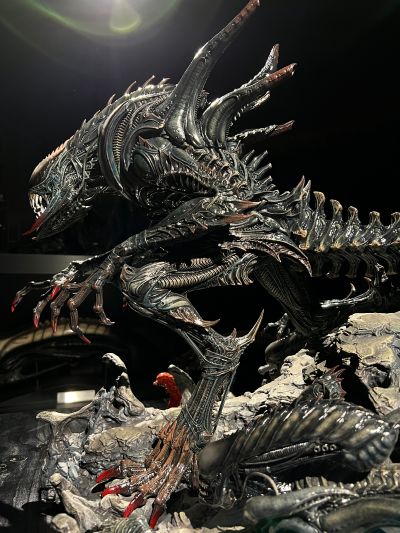 PMDHAL-05 异形大战铁血战士: 第三次世界大战 獠牙外星人 Bonus版