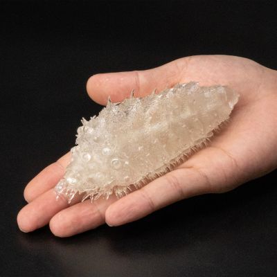 竹谷式自在置物 风之谷 王虫（小） 透明版