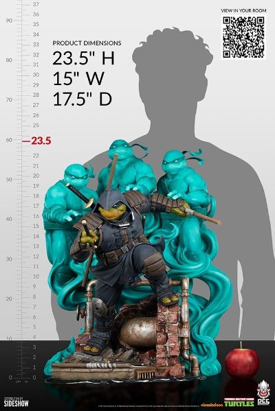 忍者神龟 最后的浪人