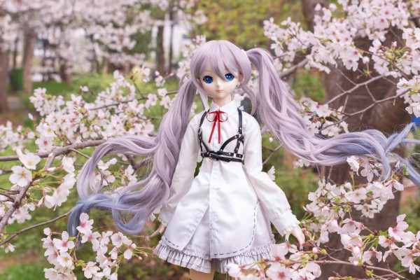 Dollfie Dream DD VOCALOID 樱未来