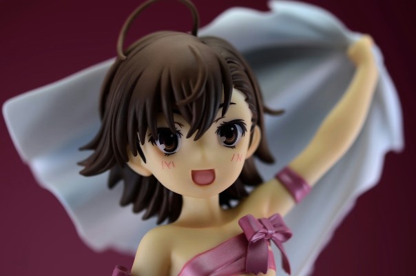剧场版 魔法的禁书目录 恩底弥翁的奇迹 打ち止め（ラストオーダー） 