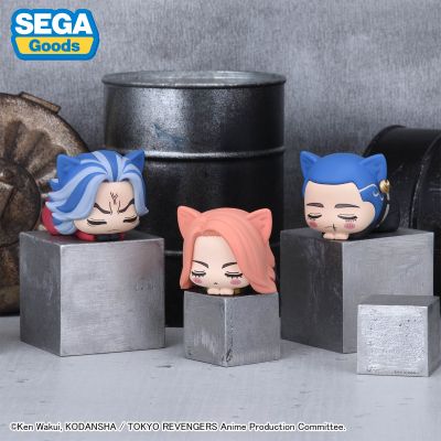 重生之道 午睡猫咪4