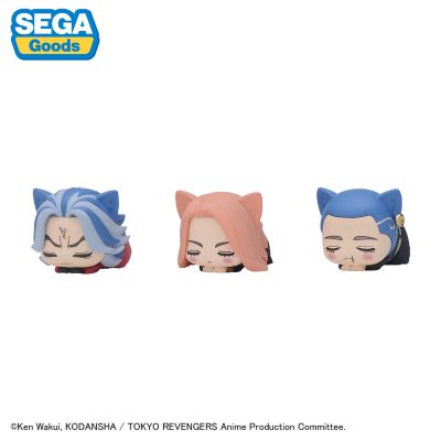 重生之道 午睡猫咪4