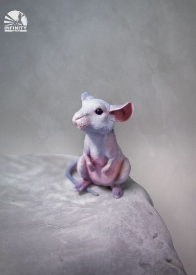 艺术家系列 不期