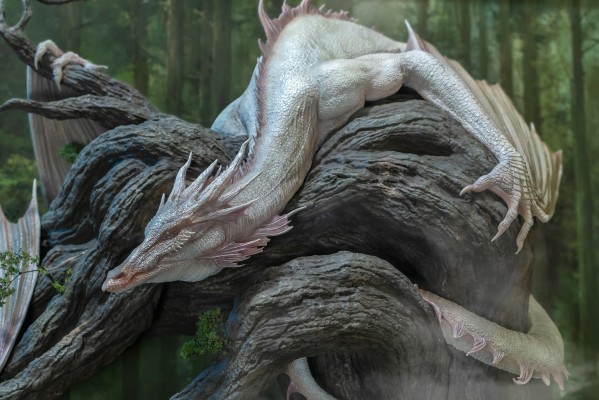 艺术家系列 朝圣