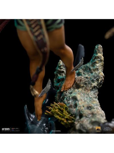 黑豹2 纳摩国王