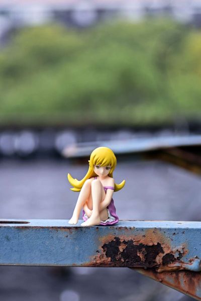 figma #239 伪物语 忍野忍