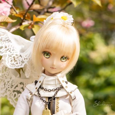 Dollfie Dream DD 命运-异章 尼禄·克劳狄乌斯