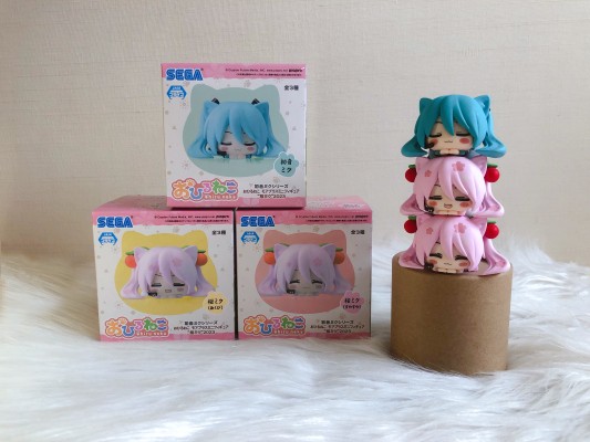 午睡猫咪MP 初音未来 樱花未来2023