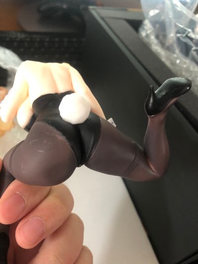 兔女郎爱丽丝 通常版