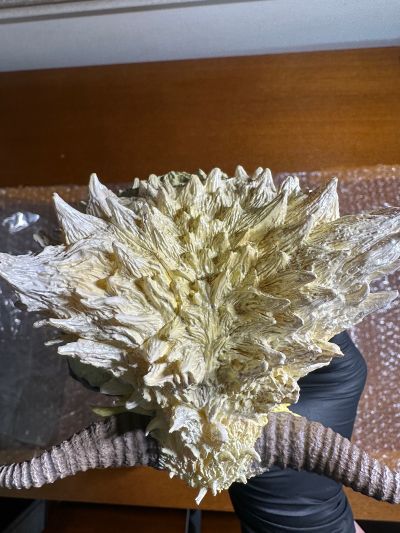 CFBCM   激昂金狮子