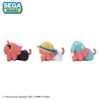 间谍过家家 动画版 午睡猫咪3