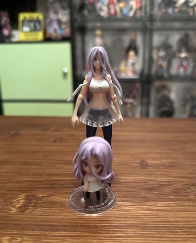 HG GIRLS 假面骑士利维斯 阿基蕾拉