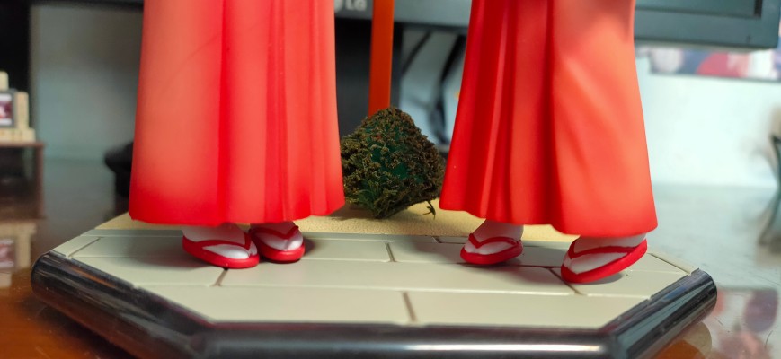 幸运星 柊 かがみ&柊司 New Year Shrine Miyazawa Ltd ver. 