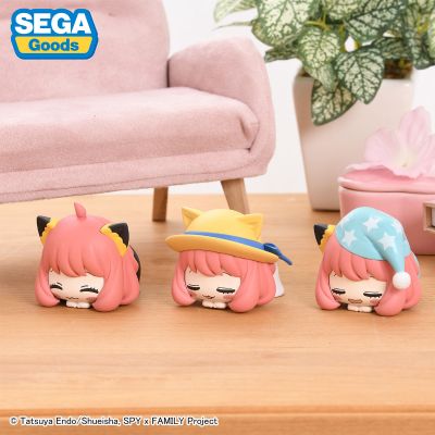 间谍过家家 动画版 午睡猫咪3