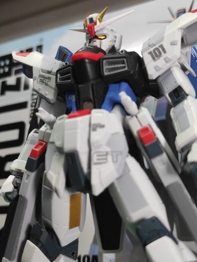 ROBOT魂 ＜机动战士系列＞   ZGMF-X10A 自由高达 GCP版