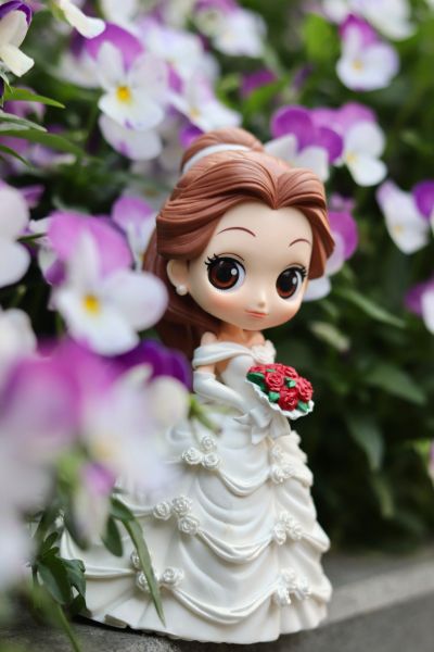  vol.2 美女与野兽 贝儿公主