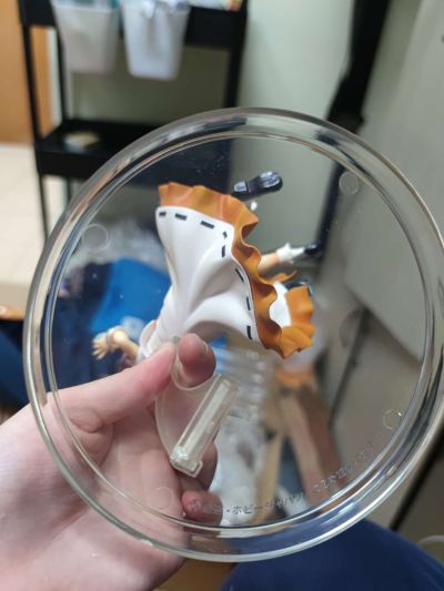 「三坪房间的侵略者！？」 东本愿早苗