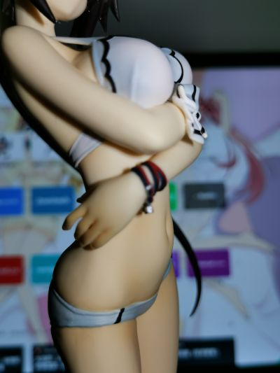 IS〈无限斯特拉托斯〉2 筱之之帚 泳装