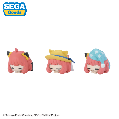 间谍过家家 动画版 午睡猫咪3