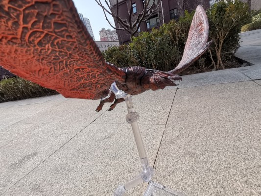 极致超值系列 哥斯拉2：怪兽之王  拉顿