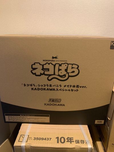 KD colle 猫娘乐园 香草 女仆泳装