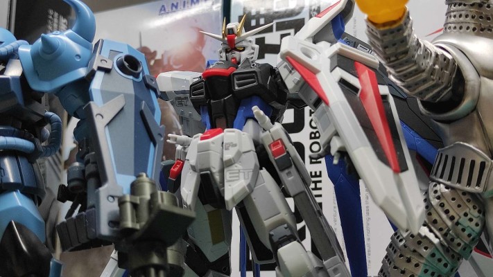 ROBOT魂 ＜机动战士系列＞   ZGMF-X10A 自由高达 GCP版