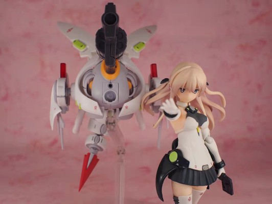 ACT MODE NAVY FIELD Ray 与 Type WASP