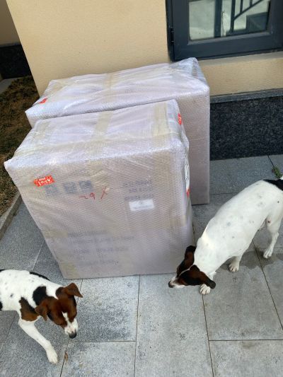 血源bloodborne 鸟羽の狩人艾琳 