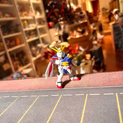 机动战士高达 重装×重奏 EX43 神高达