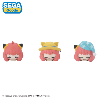 间谍过家家 动画版 午睡猫咪3