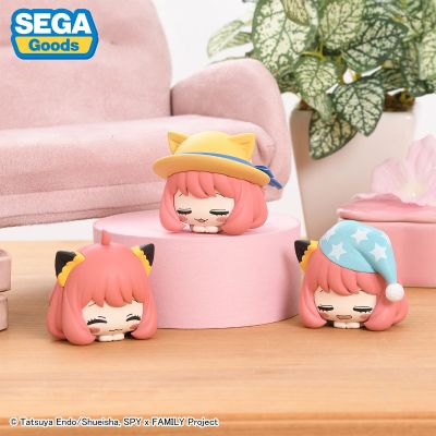 间谍过家家 动画版 午睡猫咪3